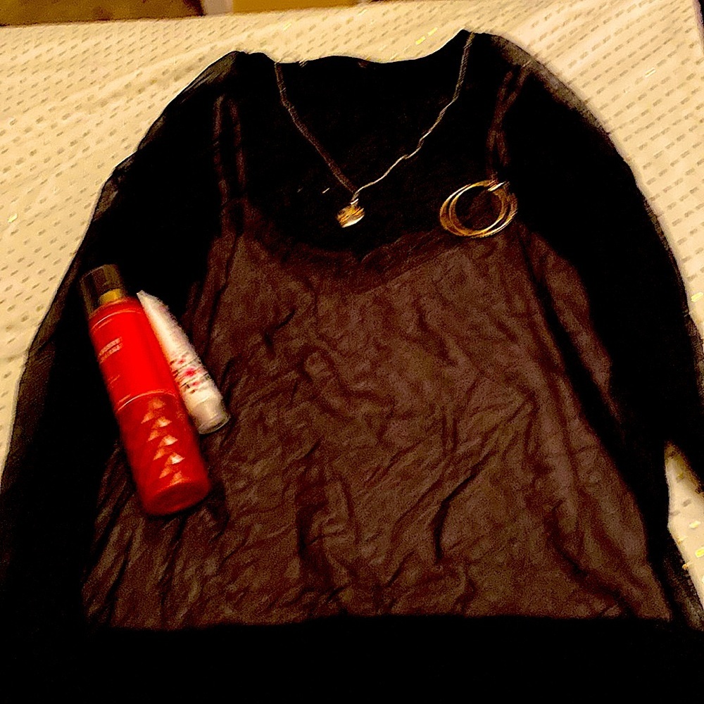 Zara Sheer Top